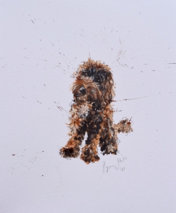 cockapoodle doo