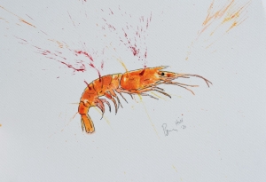 langoustine
