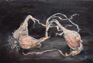 Shallots