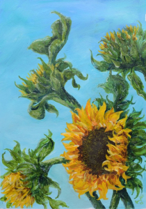 Sunflowers
