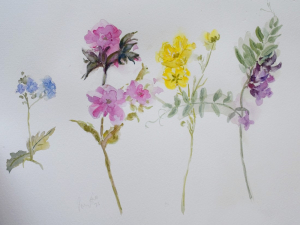 flowers of the meadow