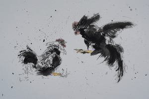 Feathers fly