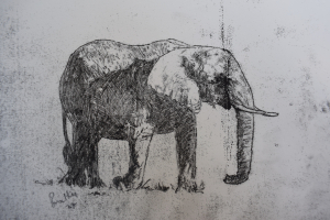 Elephant in the Maasai Mara