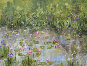 The wildlife pond in full flower