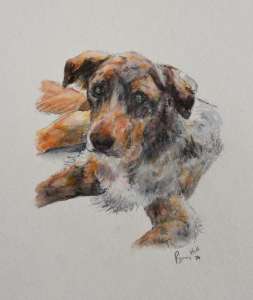 Fynn 1