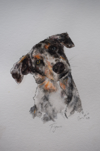 Fynn 2