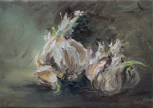 Sprouting garlic