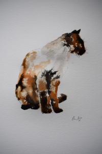 Siamese cat