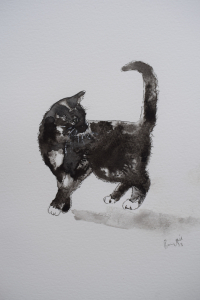 Black cat
