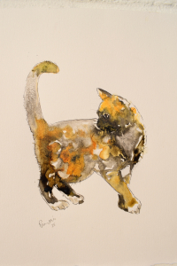 Tortoiseshell cat