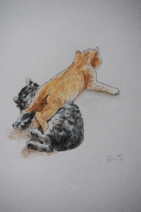 Kittens