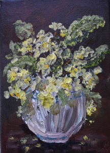 Primroses