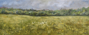 View of Hurstpierpoint Church across the buttercup meadow