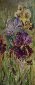 Irises from my garden