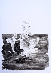 Seagulls fishing