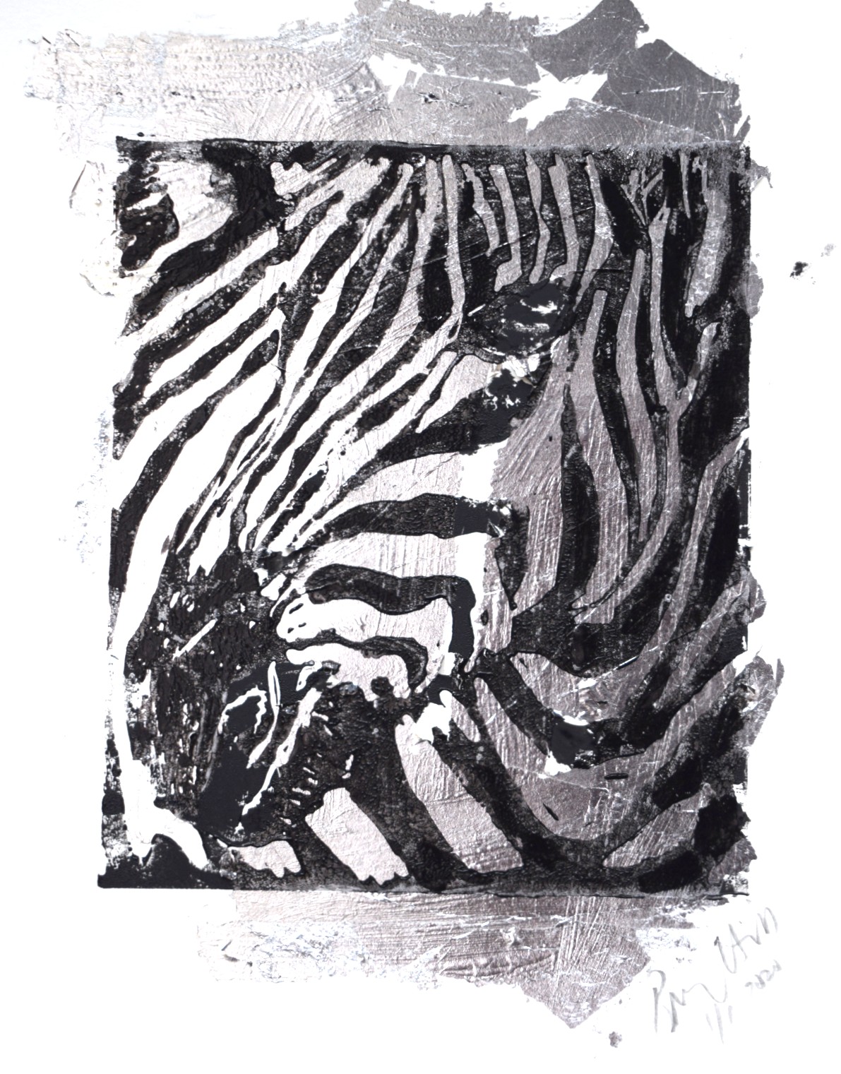 Zebra