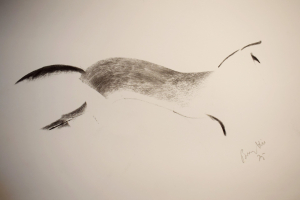 Full Gallop
