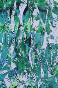 Rain forest