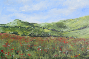 The South Downs at Saddlescombe