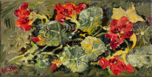 The last of the nasturtiums