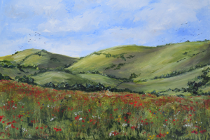 Poppies on the South Downs