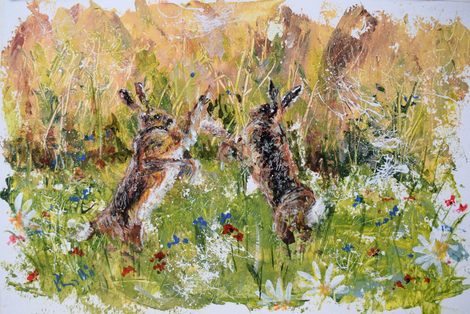 Boxing hares